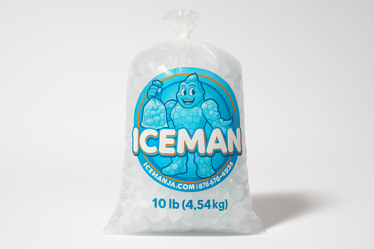 10LB Bag of Ice